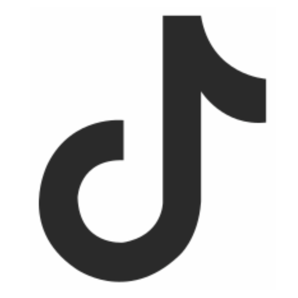 bav_icon_tiktok.png